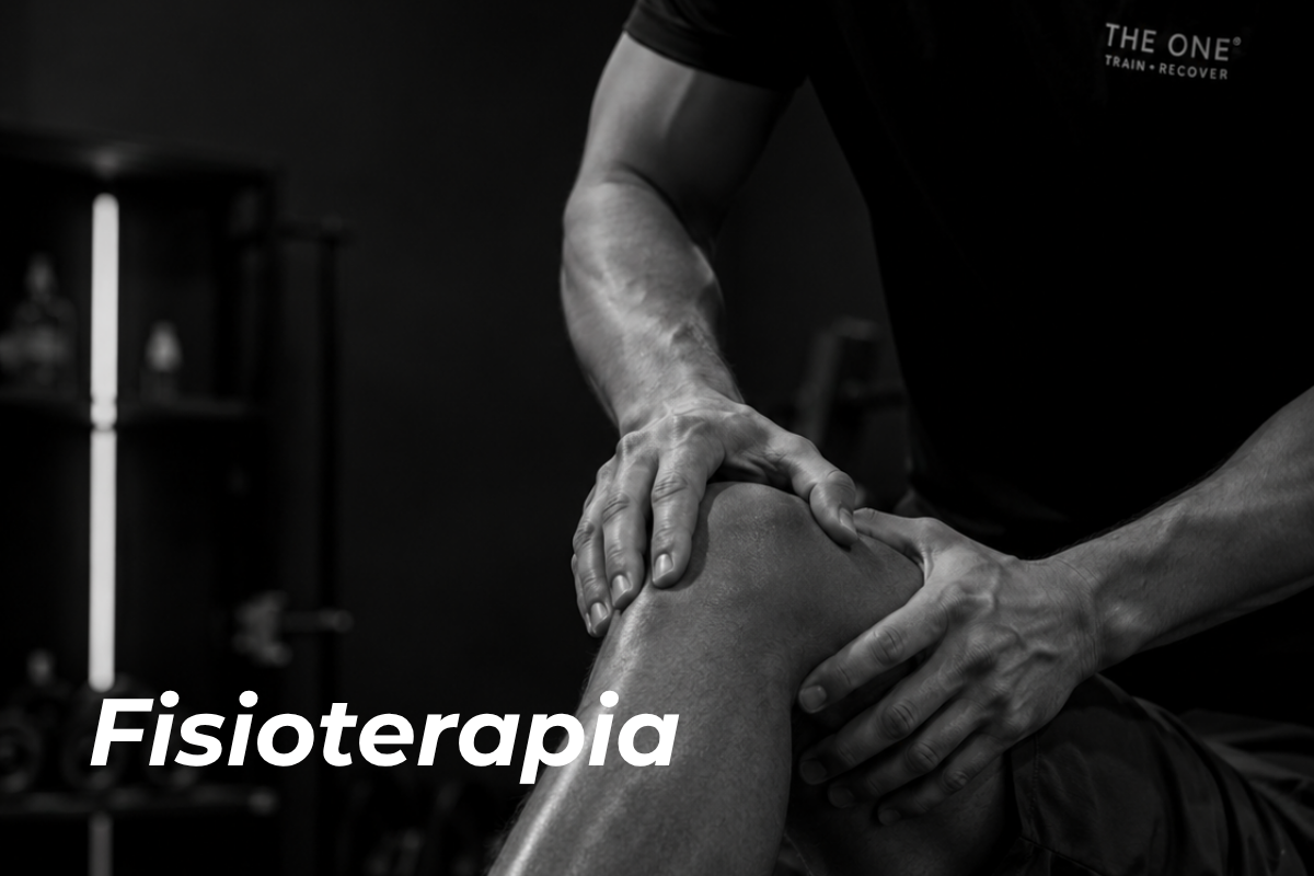 Fisioterapia GDL